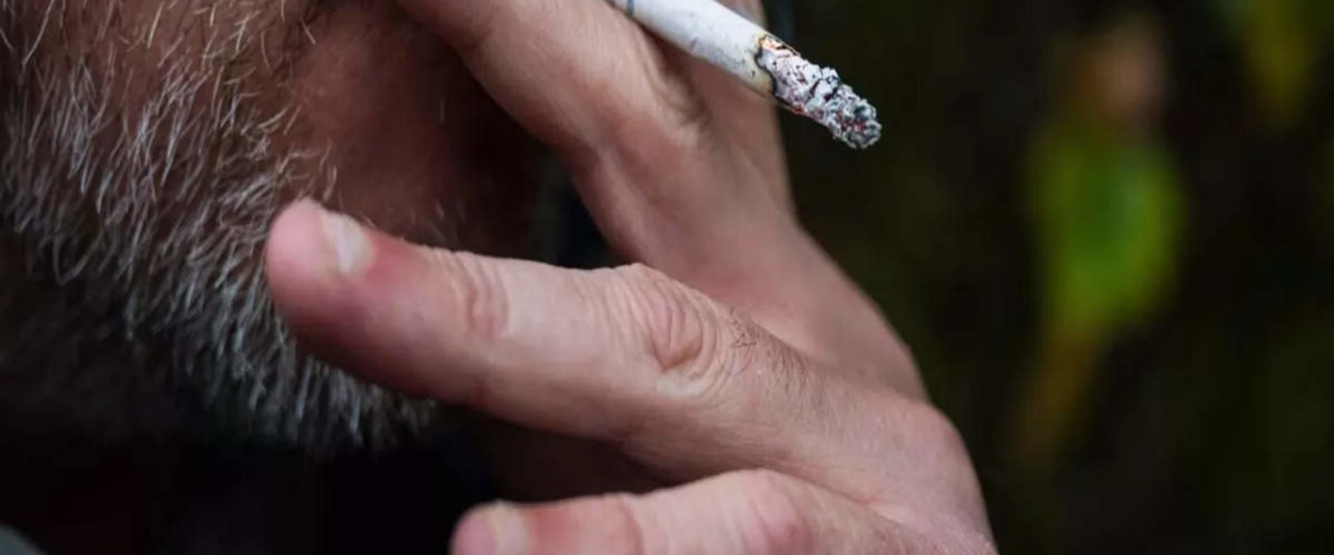The Impact of Smoking Campaigns in Leon County, Florida