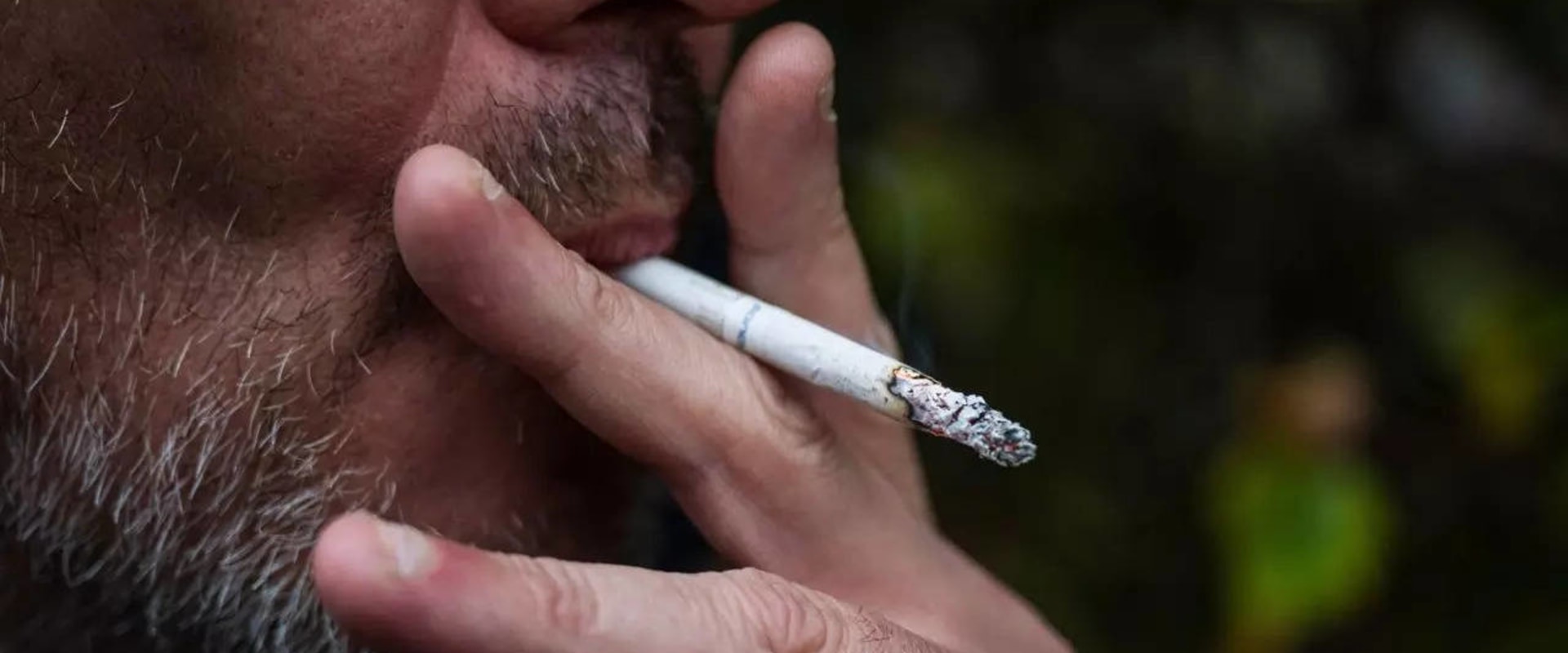 The Impact of Smoking Campaigns on Smoking Rates in Leon County, Florida: An Expert's Perspective