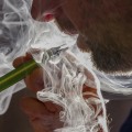 The Environmental Impact of Tobacco Use: A Perspective from a Public Health Expert in Leon County, Florida
